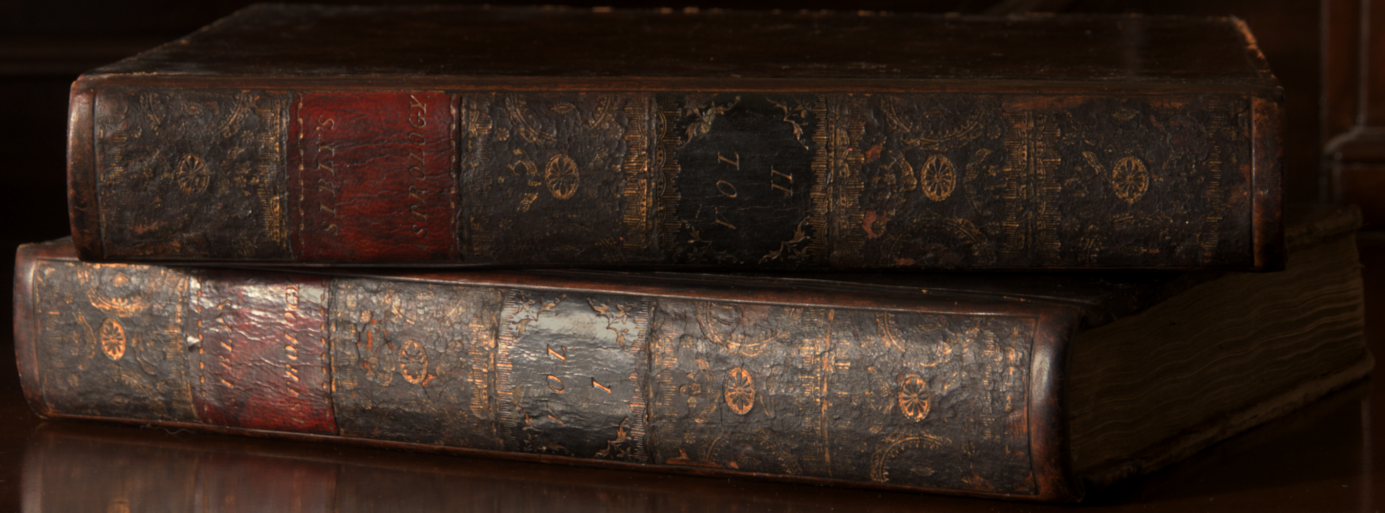 photo of the two volumes showing the gilt spines and that the leather is dark